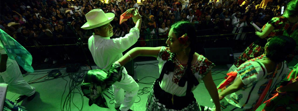 SONparaMILO12